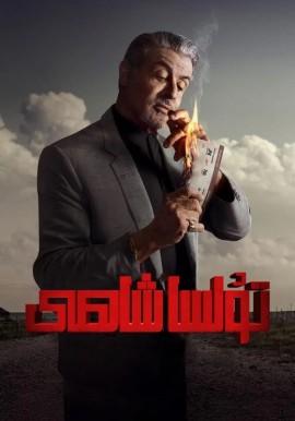 تۇلسا شاھى